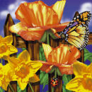 POPPIES & BEETLES 